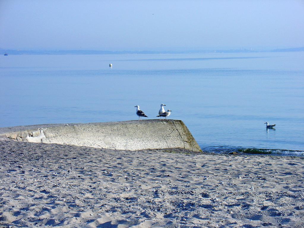 Fewo Machedanz Am Hafen Timmendorfer Strand Ot Niendorf ภายนอก รูปภาพ